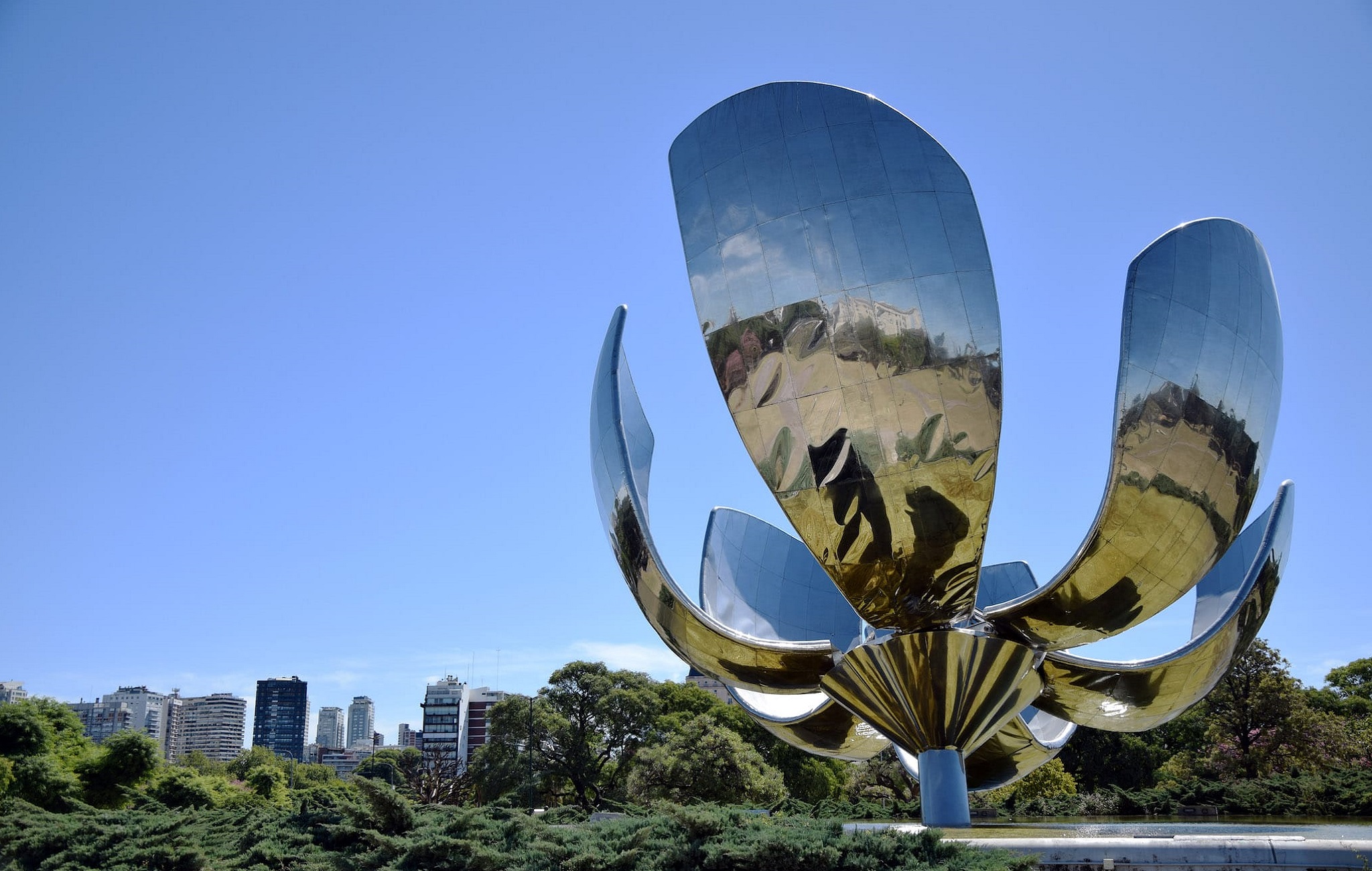 Floralis-generica