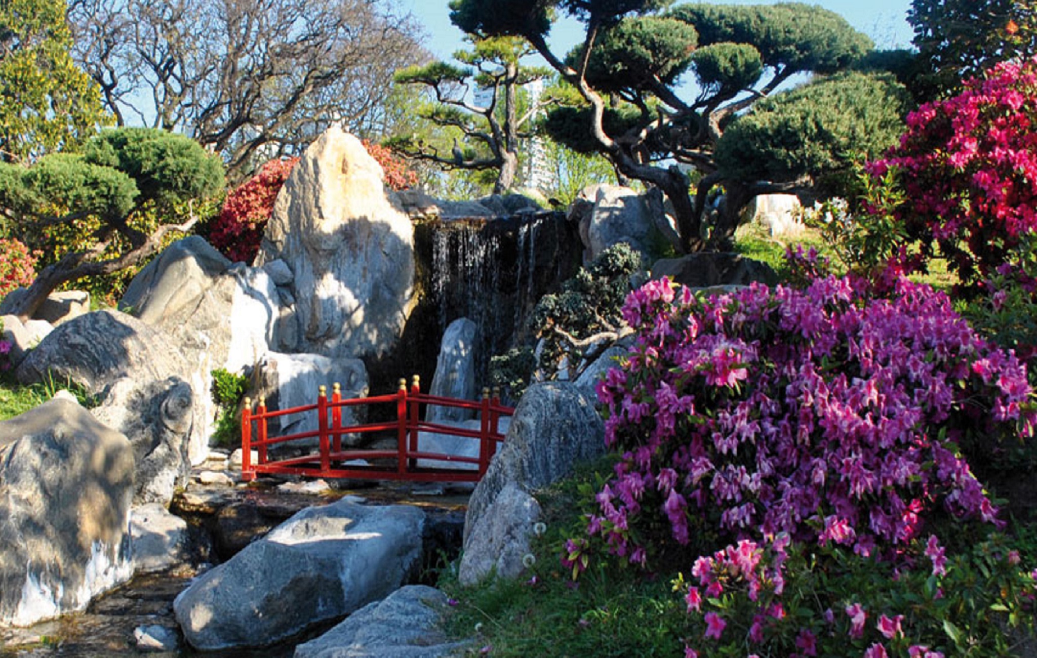 Jardin-Japones